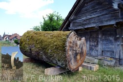 chene 125 ans Orzens 11-07-2015