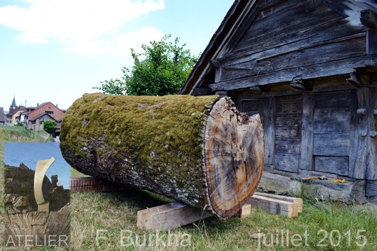 chene 125 ans Orzens 11-07-2015