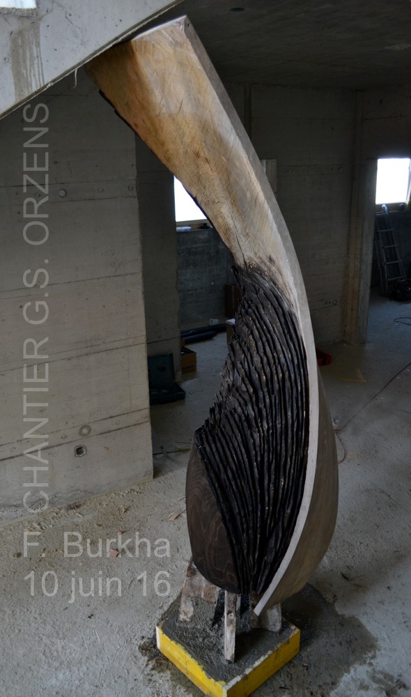 chene 125 ans F-Burkha Orzens 10-06-2016 pose sur chantier